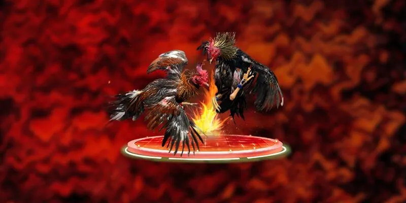 cach-da-ga-mang-luon-thang-1